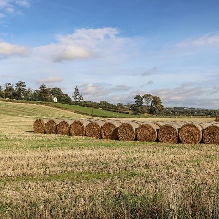 Bonjedward Mill Farm Cottage Jedburgh Exteriér fotografie